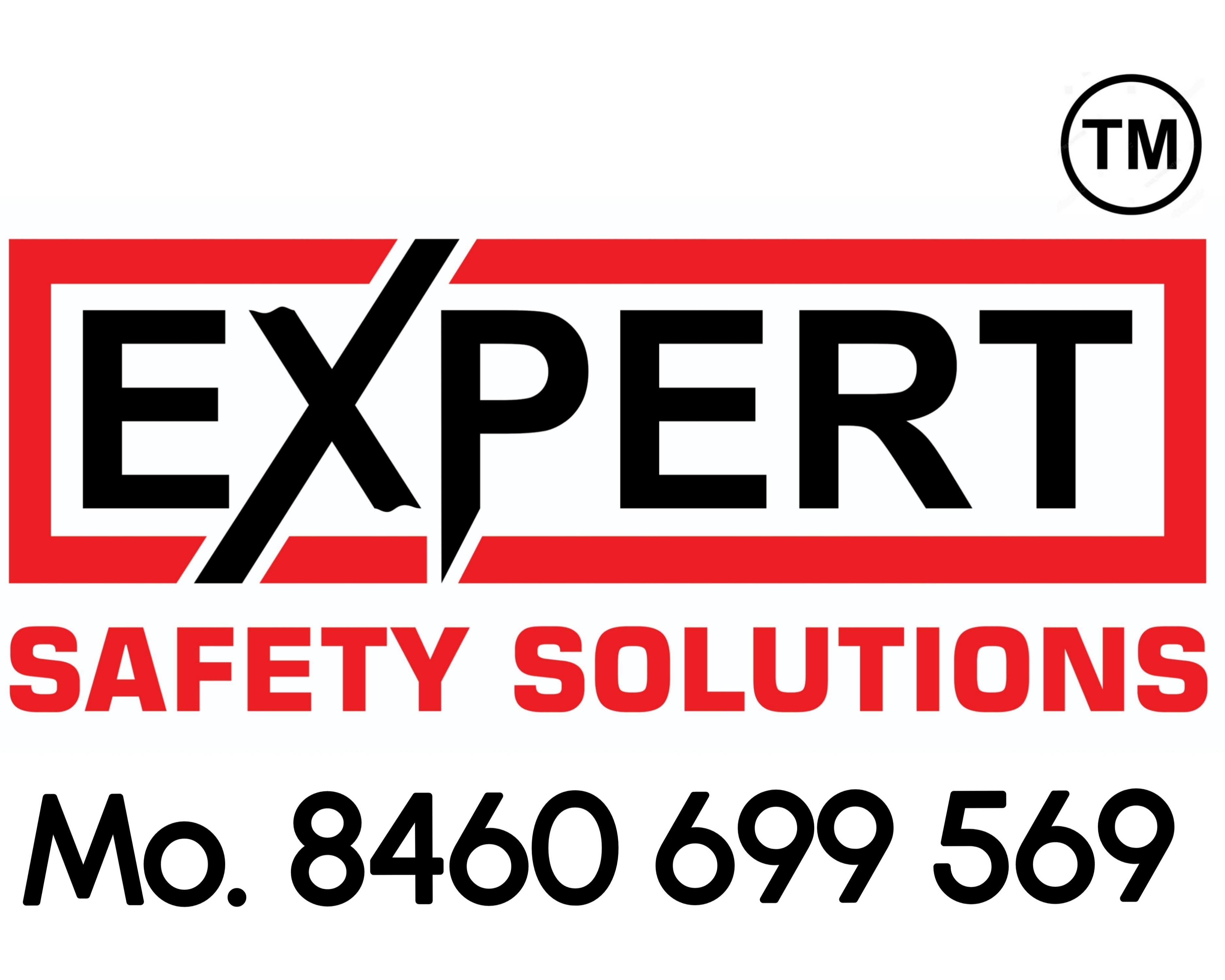 Expert Safety Solutions Logo